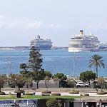 Biliz Bistro Doner Haus