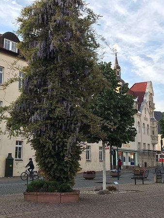 China-Restaurant Dynastie