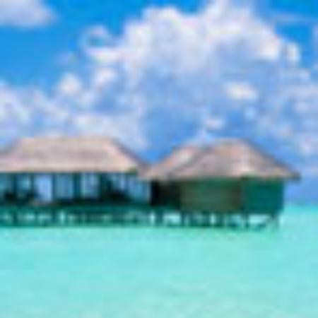 Pension & Gasthof Schoene Hoehe