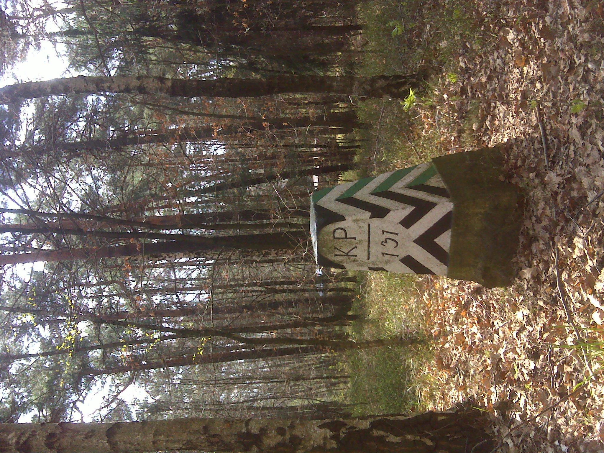 Sächsisch-Preußischer Grenzstein