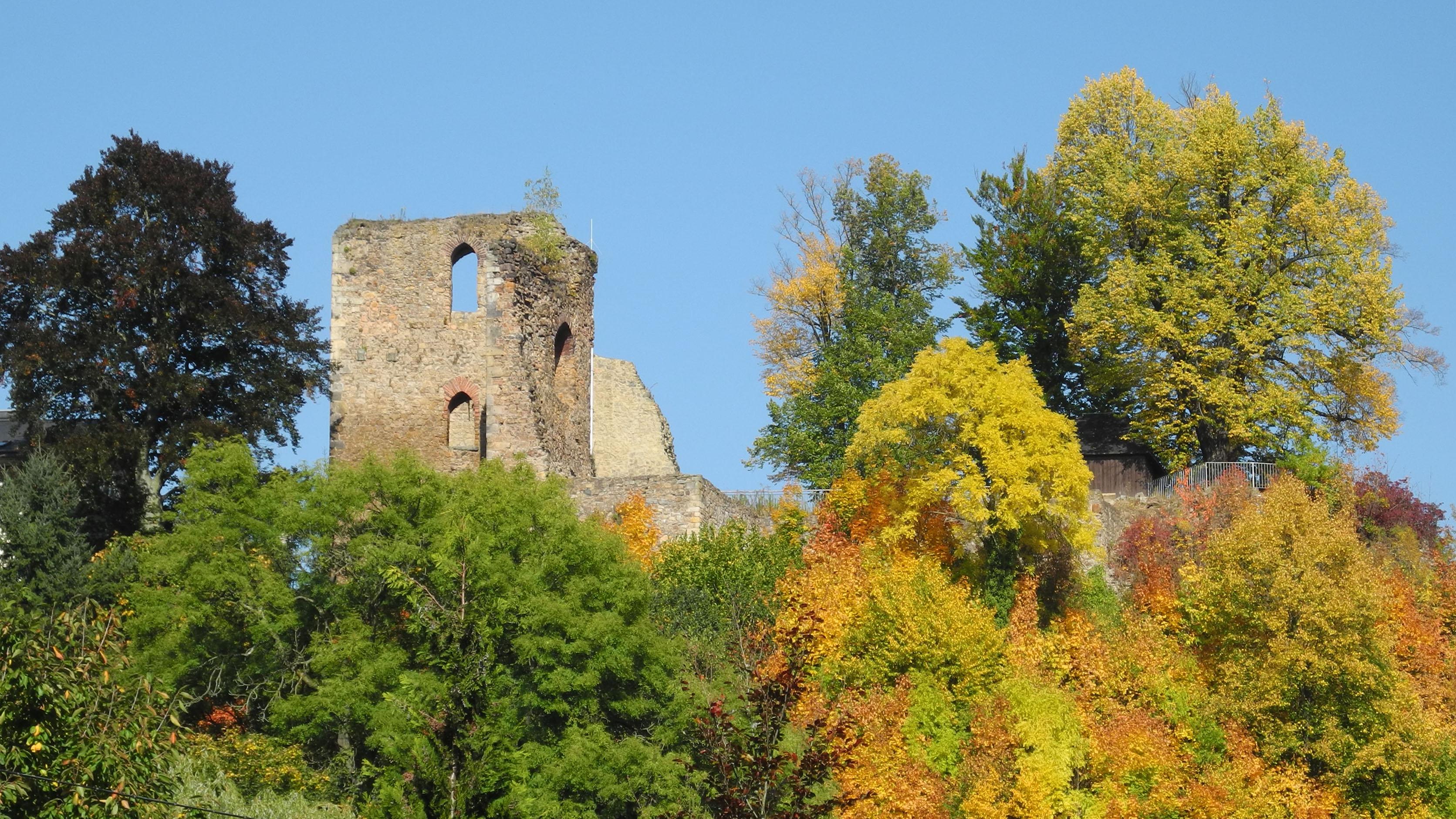 Burgruine Tharandt