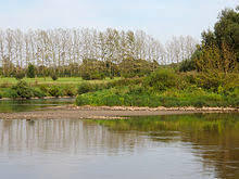 Gauernitzer Elbinsel