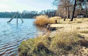 Brettmühlenteich Dobra