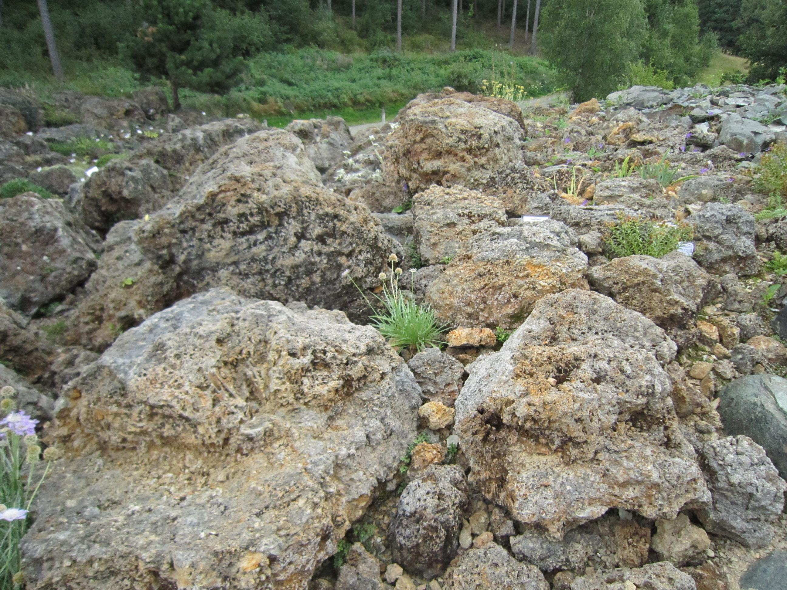 Botanischer Garten Adorf