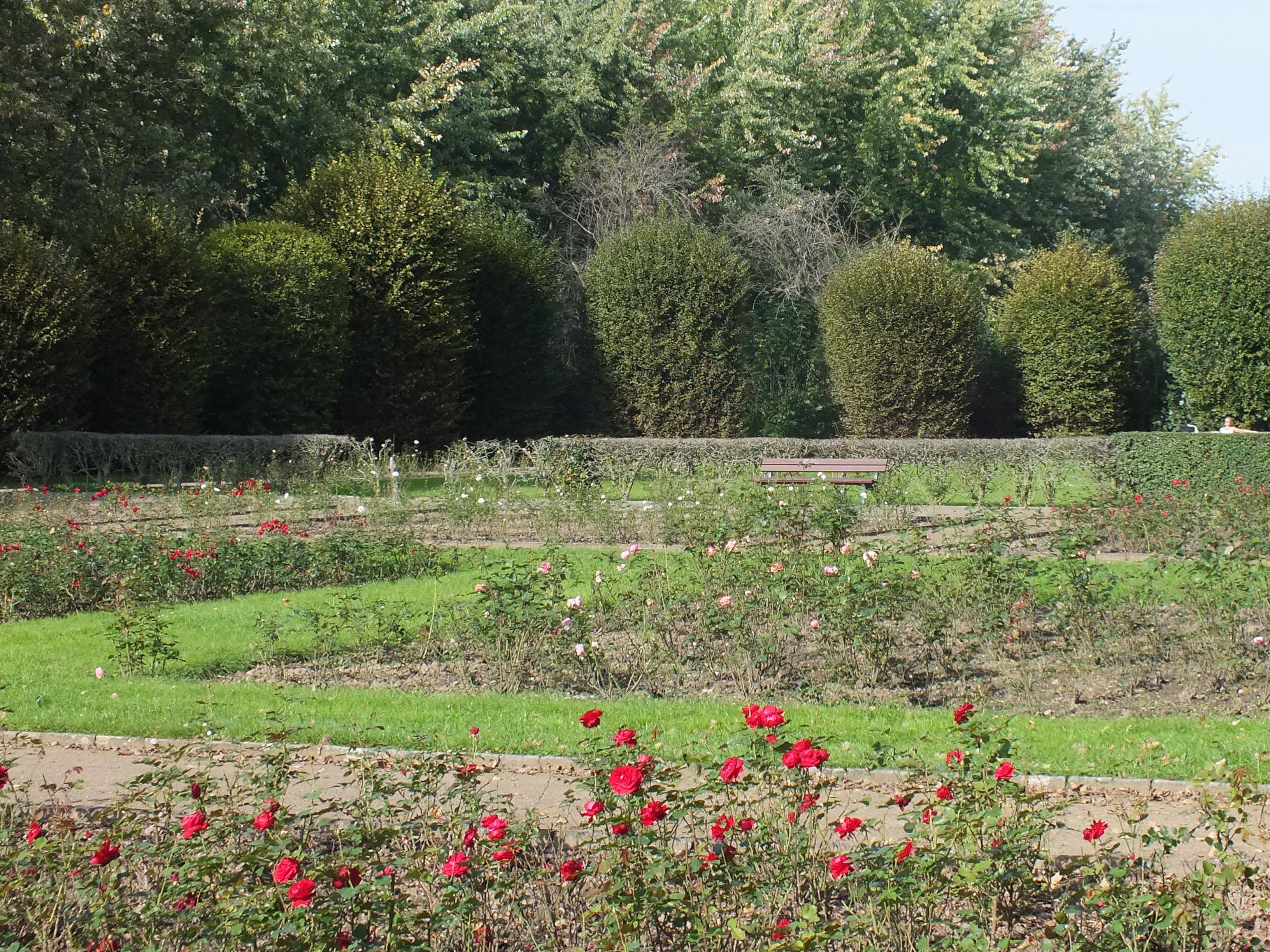 Volkspark Kleinzschocher