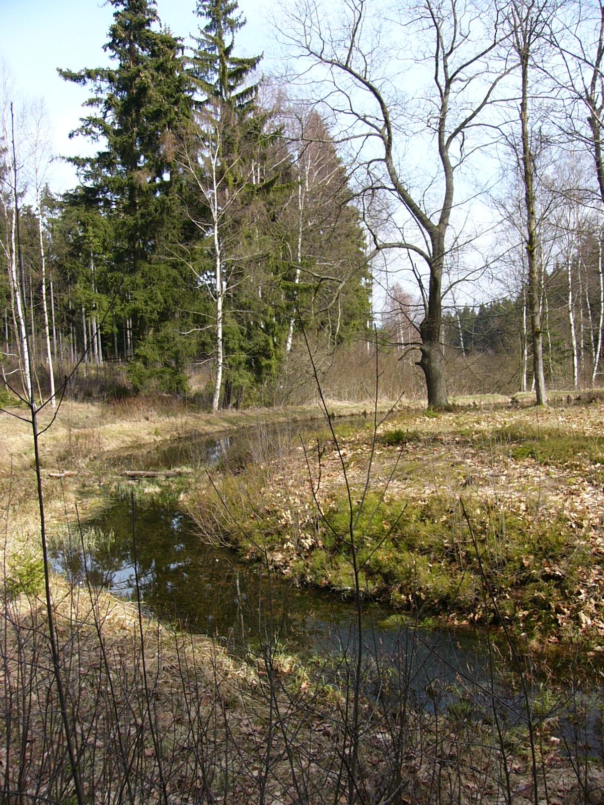 Schloss Schönfeld