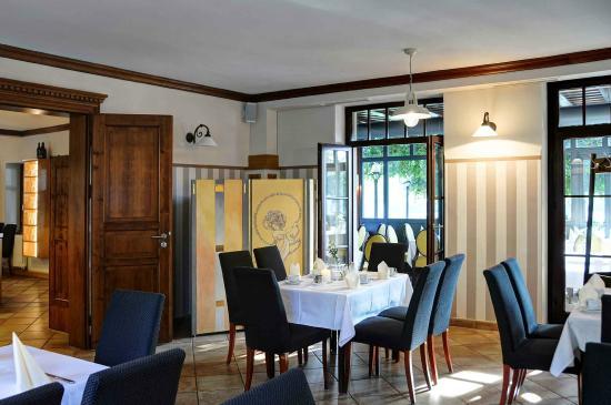 Elbterrasse Wachwitz