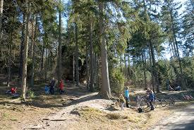 Dippoldiswalder Heide