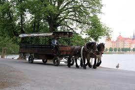 Kutsch- und Kremserfahrten