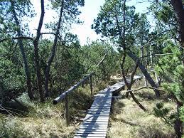 Georgenfelder Hochmoor